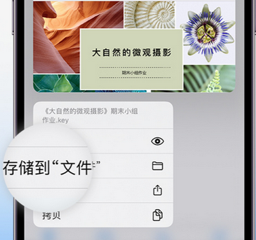 会泽apple维修中心分享iPhone文件应用中存储和找到下载文件