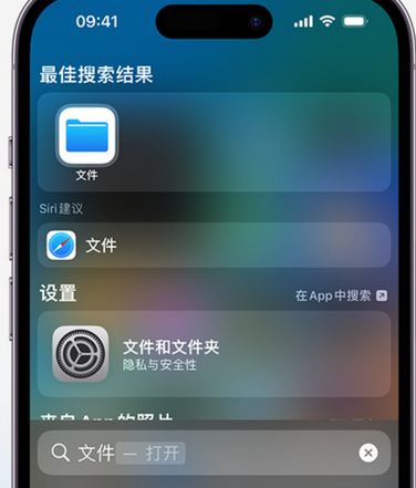 会泽apple维修中心分享iPhone文件应用中存储和找到下载文件