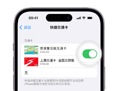 会泽apple维修点分享iPhone上更换Apple Pay快捷交通卡手绘卡面 