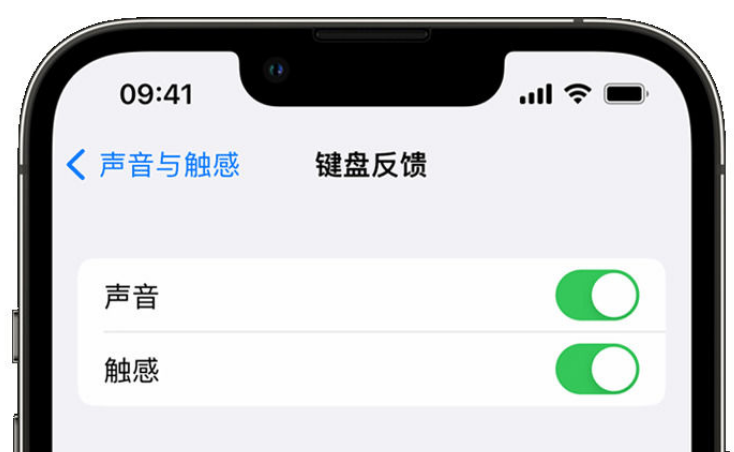 会泽苹果手机维修分享iPhone 14触感键盘使用方法 