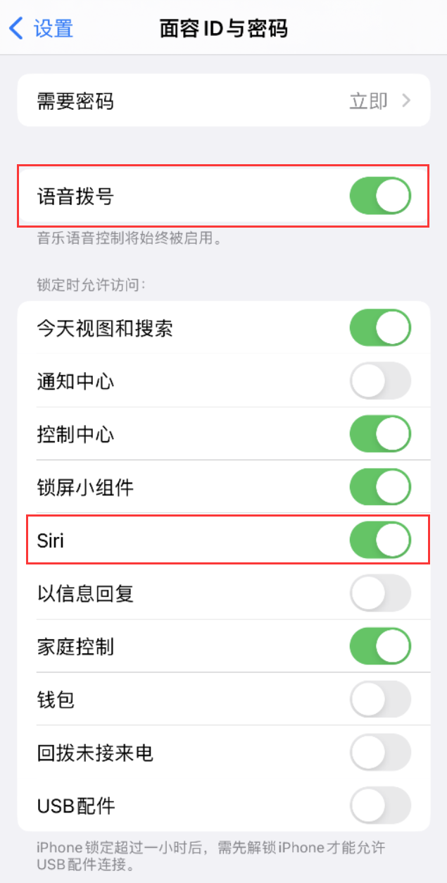 会泽苹果维修网点分享不解锁 iPhone 的情况下通过 Siri 拨打电话的方法 