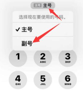 会泽苹果14维修店分享iPhone 14 Pro Max使用副卡打电话的方法 