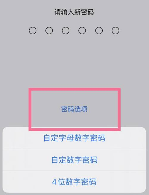 会泽苹果14维修分享iPhone 14plus设置密码的方法 