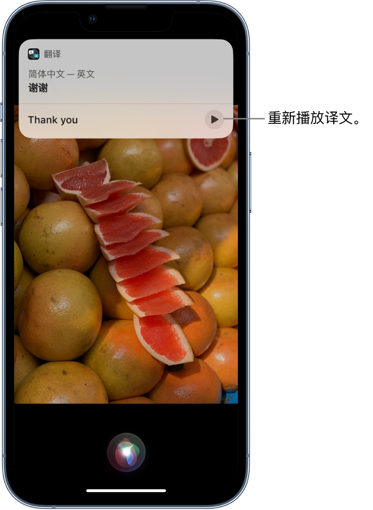 会泽苹果14维修分享 iPhone 14 机型中使用 Siri：了解 Siri 能帮你做什么 