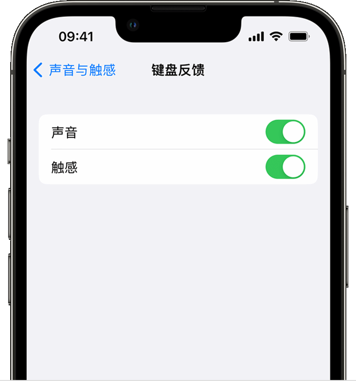 会泽苹果14维修分享iPhone 14 系列机型如何开启键盘声音或触感反馈 