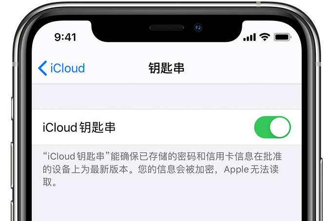 会泽苹果手机维修分享在 iPhone 上开启 iCloud 钥匙串之后会储存哪些信息 