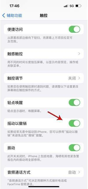 会泽苹果手机维修分享iPhone手机如何设置摇一摇删除文字 