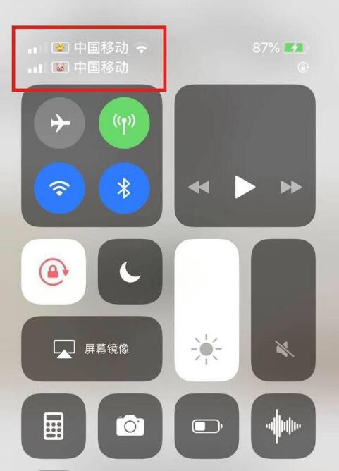 会泽苹果手机维修分享为 iPhone 12 双卡设置标签 