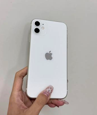 会泽苹果维修点分享iPhone 11黑屏特殊场景解析 